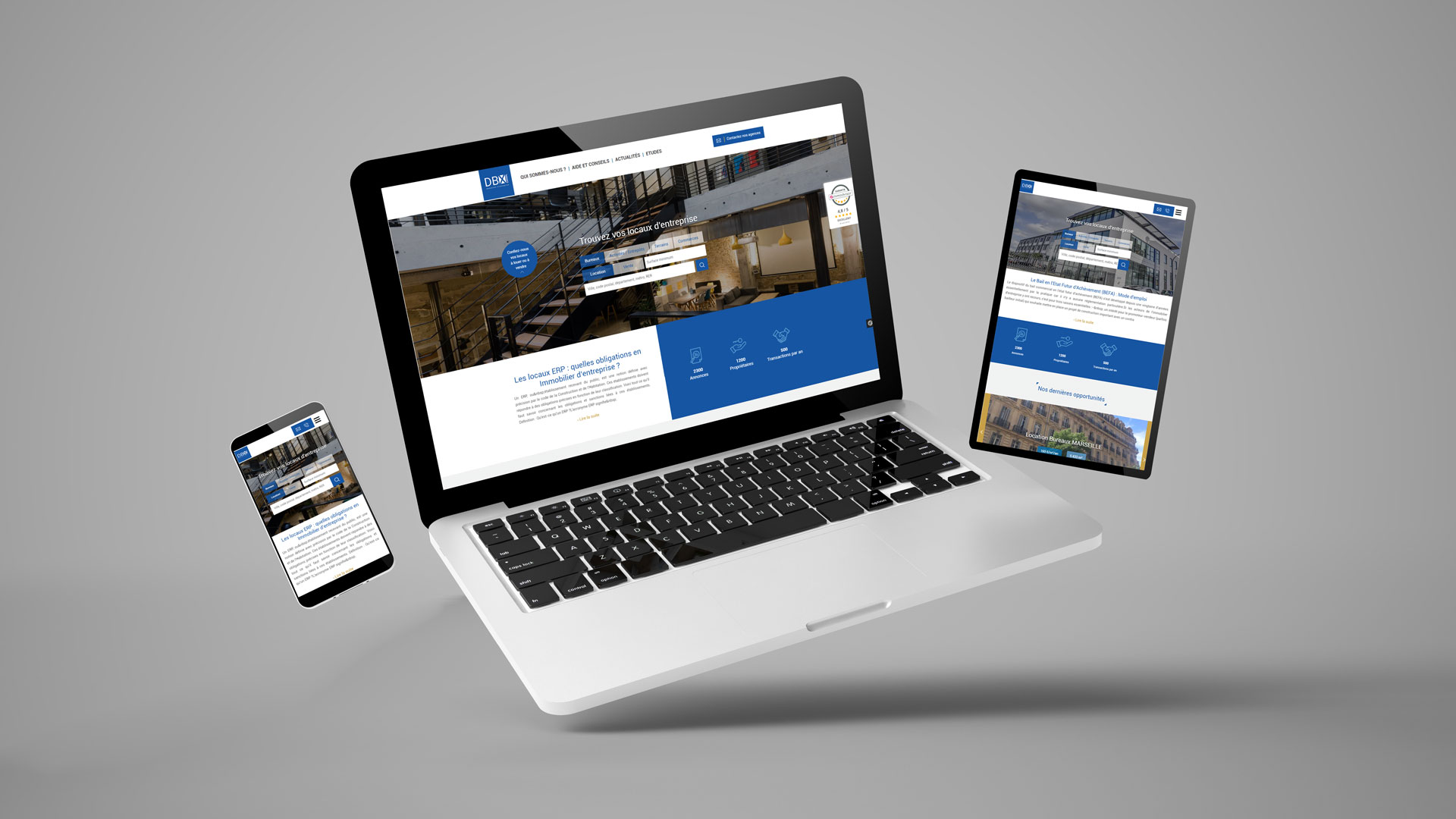 Représentation du site Internet DbxConseil.fr